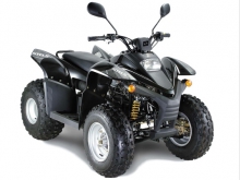 Фото Stels ATV 100RS  №1